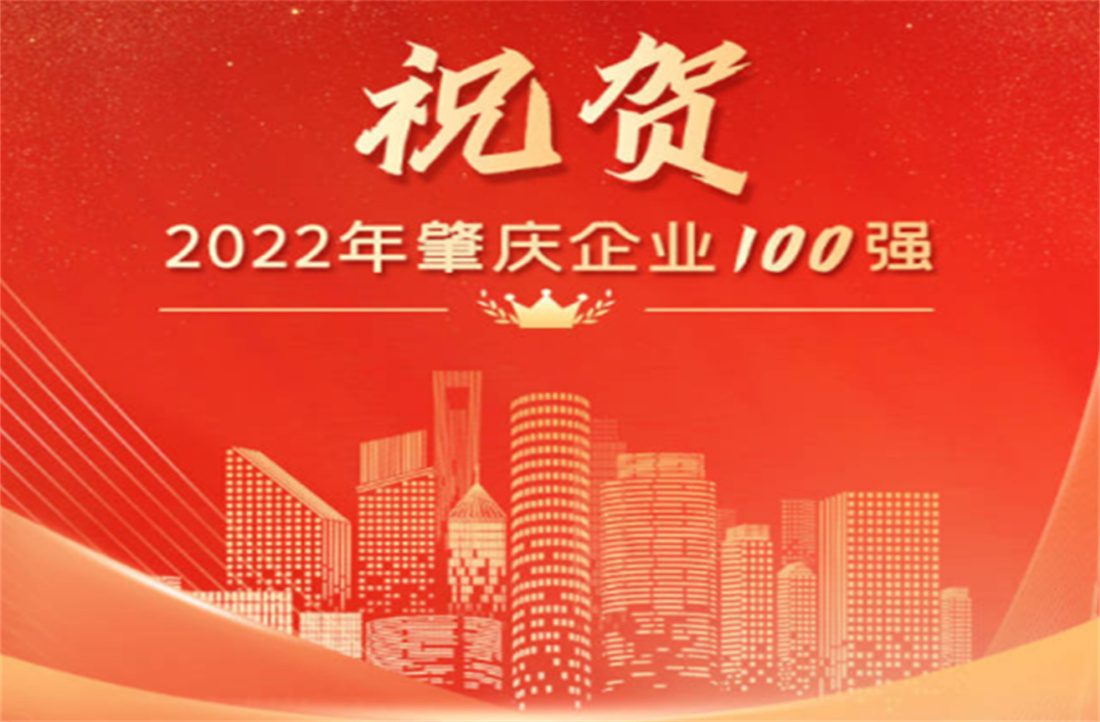 新明珠集團(tuán)祿步園區(qū)再次入圍“肇慶企業(yè)10強(qiáng)”